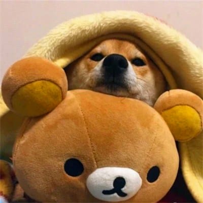 สิโรจน์ ฉัตรทอง avatar