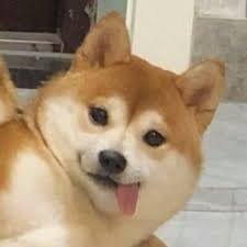 สารัช อยู่เย็น avatar